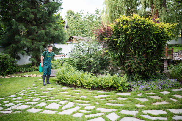 Best Pest Control for Homes  in Gray, LA