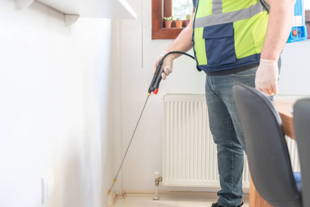Best Pest Removal Services  in Gray, LA