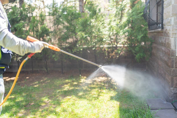 Best Flea Control Services  in Gray, LA