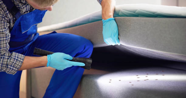 Best Best Pest Control Companies  in Gray, LA