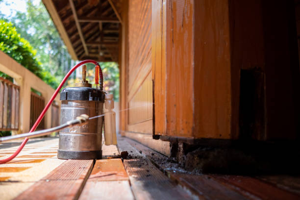 Best Affordable Exterminators  in Gray, LA